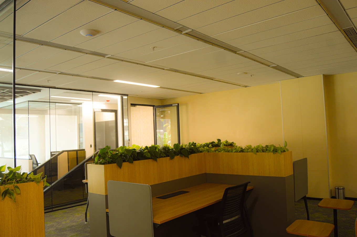 Workspace Image